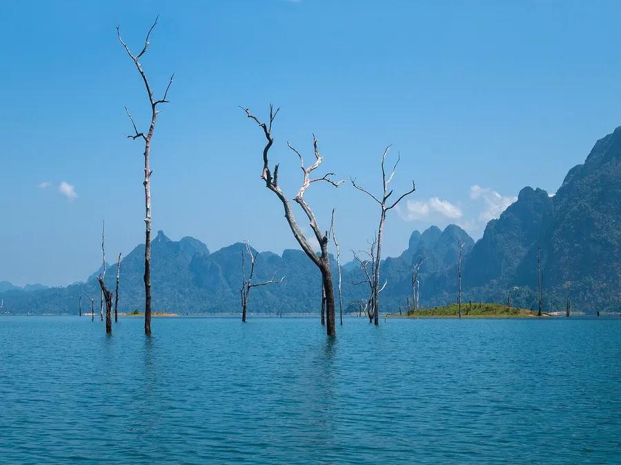 Blue Mauntains Tour — on location